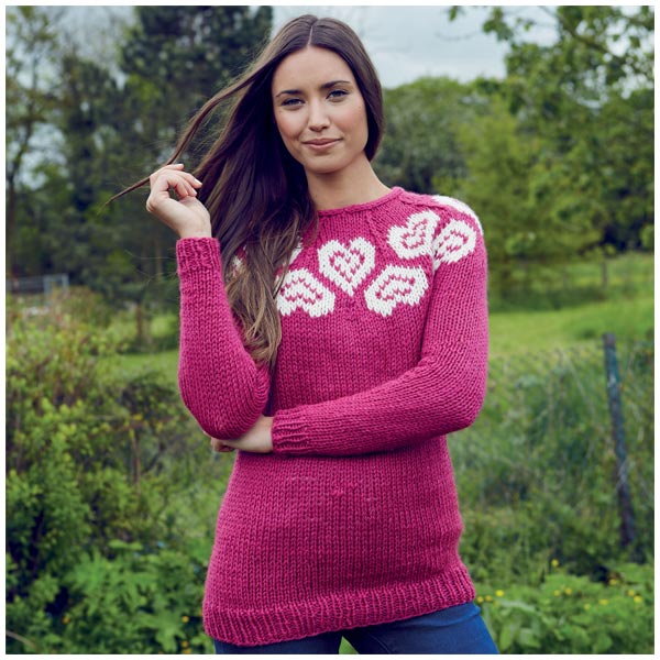 A Year of Knitting Sweaters Book #001 - Image 4