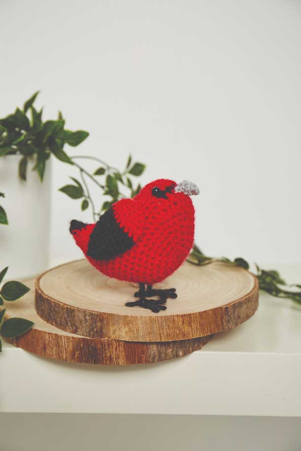 Crochet Garden Birds book - Image 4