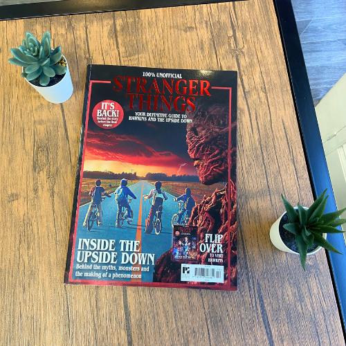 Stranger Things - Your Definitive Guide to Hawkins and Upside Down - Image 4