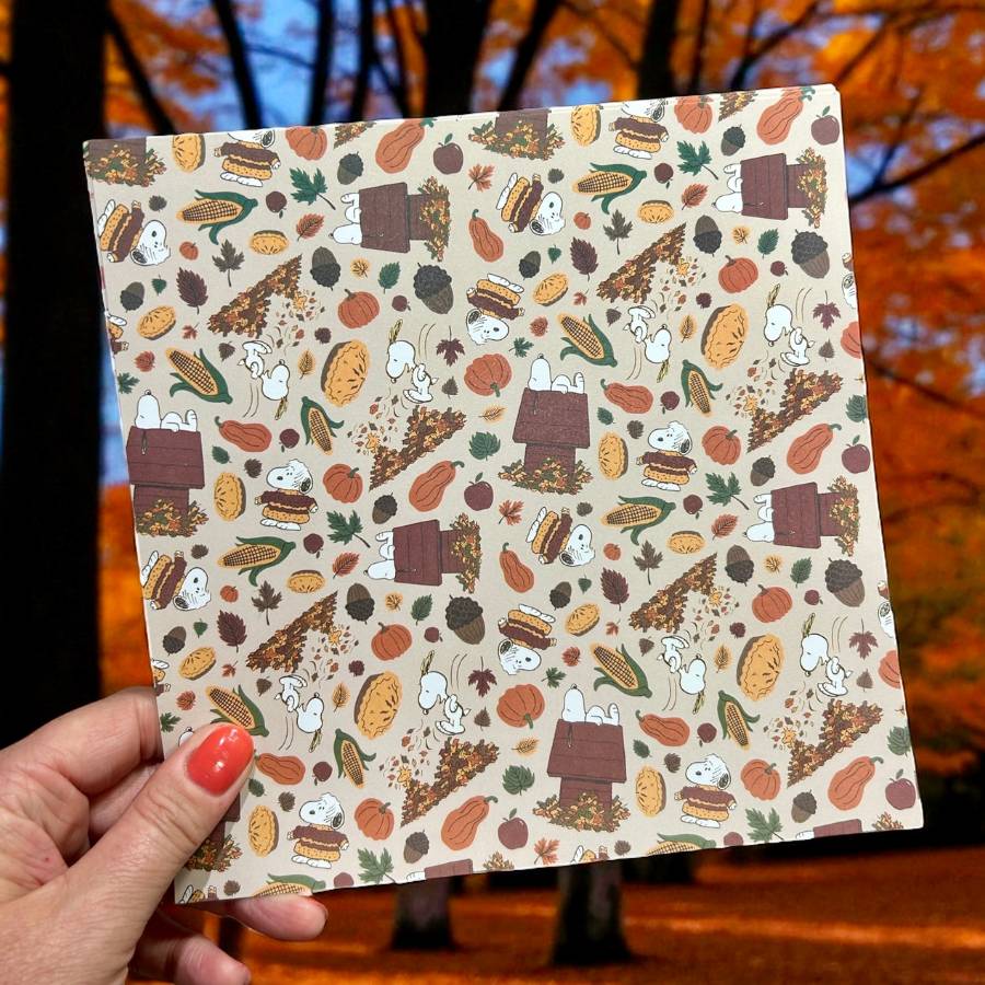 Peanuts 8 x 8 Paper Pack Fall Is Here | Chill Out & Be Thankful - Image 10