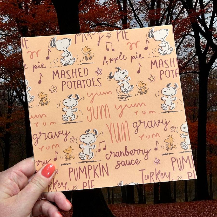 Peanuts 8 x 8 Paper Pack Fall Is Here | Chill Out & Be Thankful - Image 12