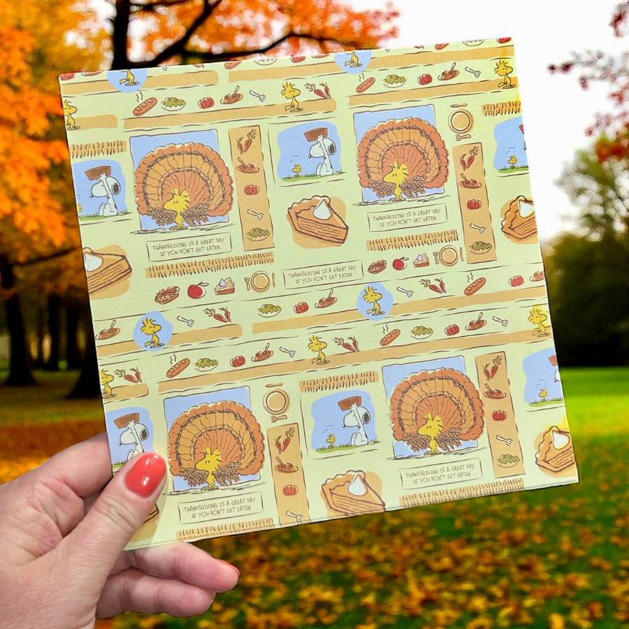 Peanuts 8 x 8 Paper Pack Fall Is Here | Chill Out & Be Thankful - Image 9