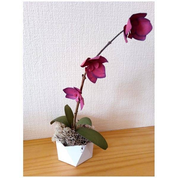 Simply Made Crafts Die Set Ultimate Orchid and Leaf Set of 5 | Botanical Collection - Image 9
