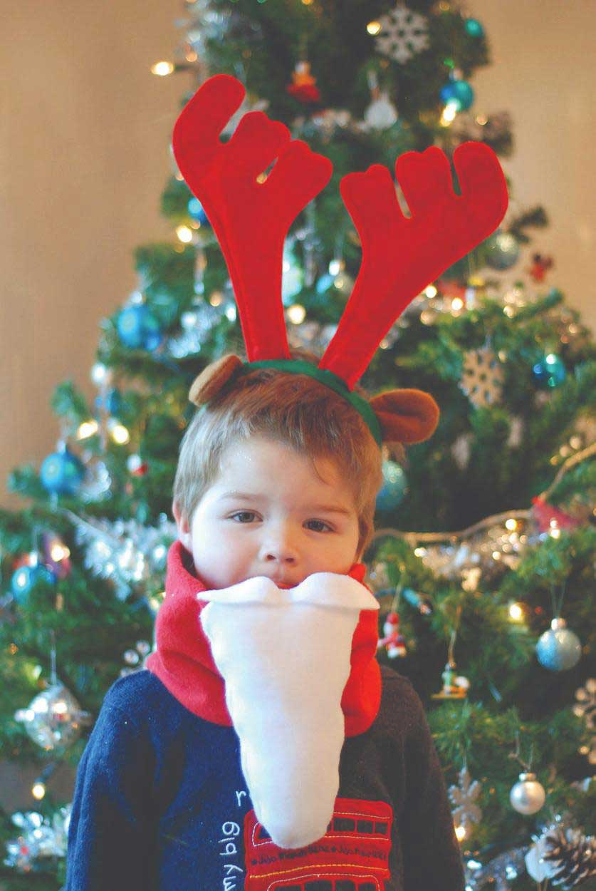 Stitching for the Holidays digital book - Image 5